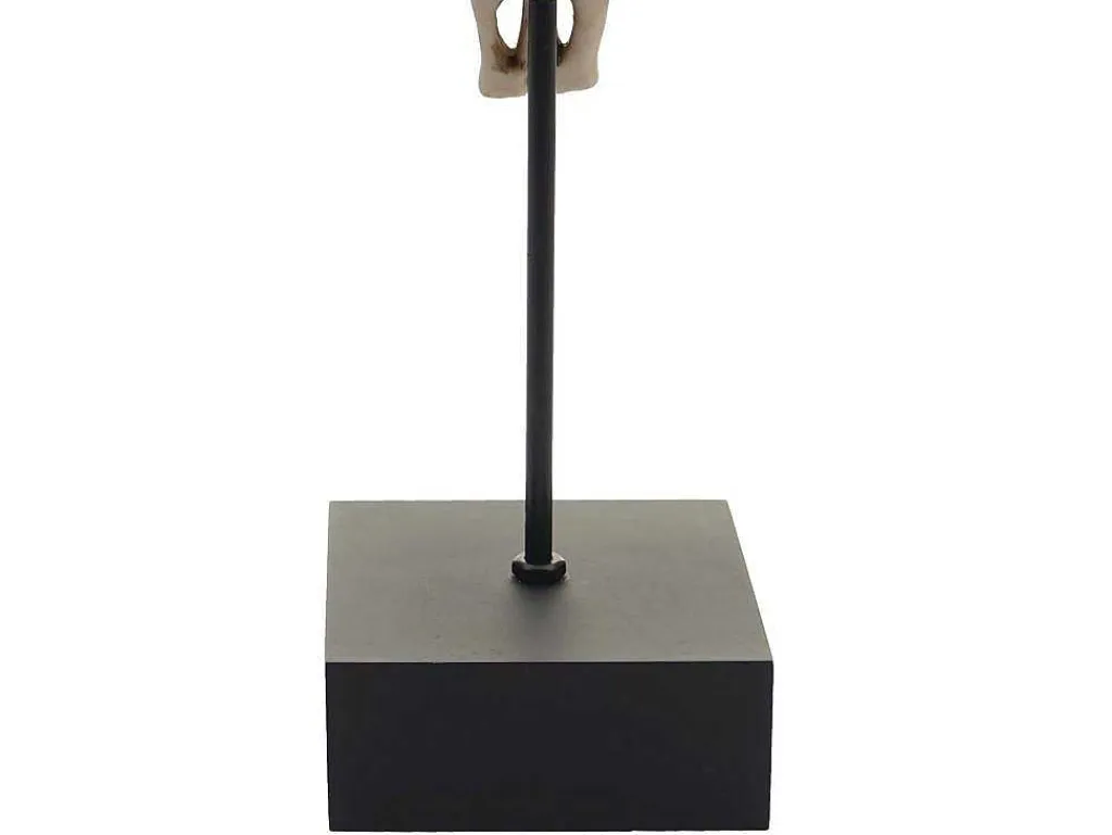 Decoratief Staand Figuur Koeienschedel Mcw-D30-Vente-unique