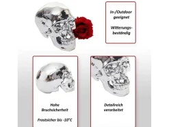 Decoratieve Schedel Mcw-T921-Vente-unique Sale