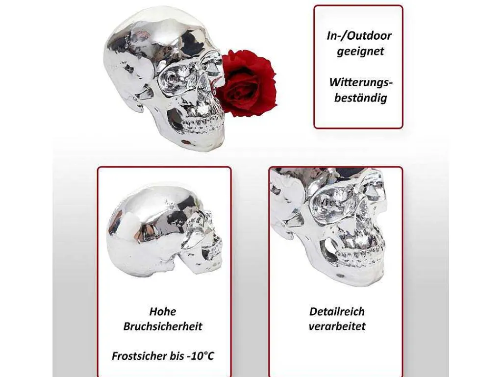 Decoratieve Schedel Mcw-T921-Vente-unique Sale
