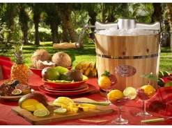 Elektrische Sorbetmaker Givreto Van Hout 3.5L-Vente-unique Best