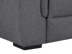 Elektrische Tweezits-Relaxzitsbank Van Grijze Stof Vereto-Vente-unique Discount