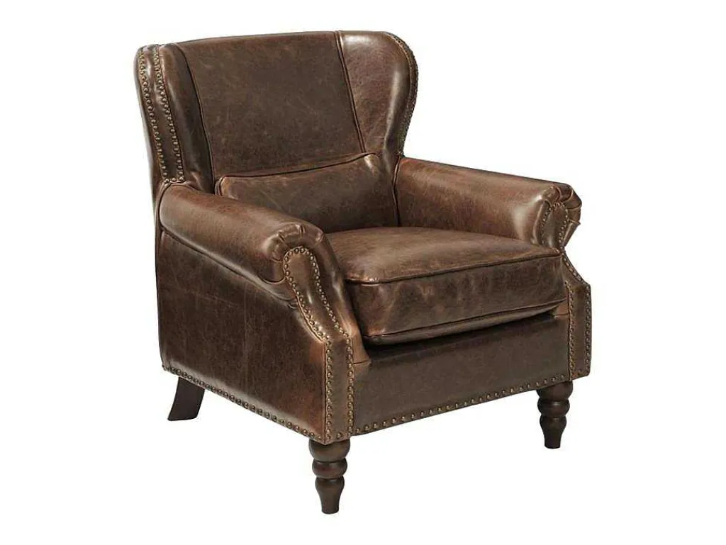 Fauteuil 100% Leer Edouard - Bruin-LINEA SOFA