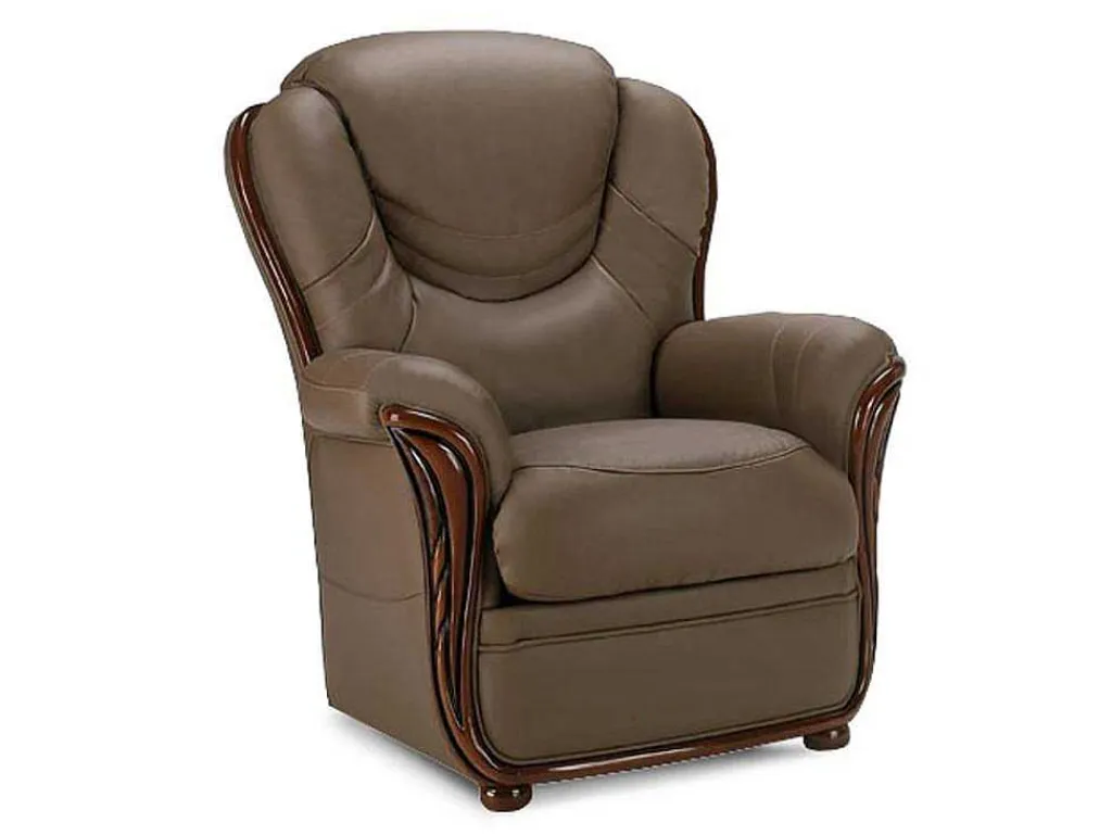 Fauteuil Adelaide - 100% Buffelleer - Taupe-Vente-unique Outlet