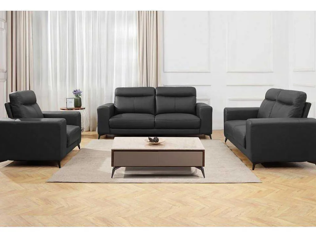Fauteuil Van Leer Montaner - Zwart-Vente-unique Clearance