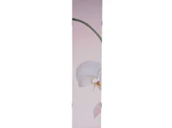 Foto Scherm Bagheria, Orchid-Vente-unique Online