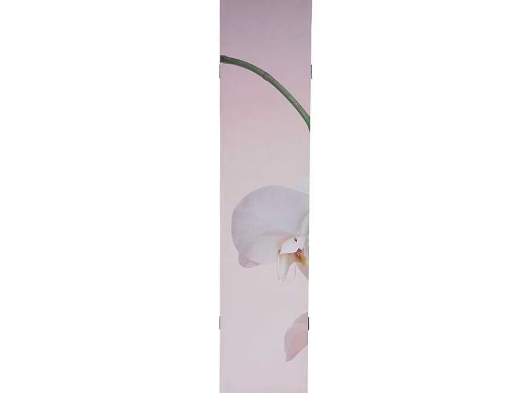 Foto Scherm Bagheria, Orchid-Vente-unique Online