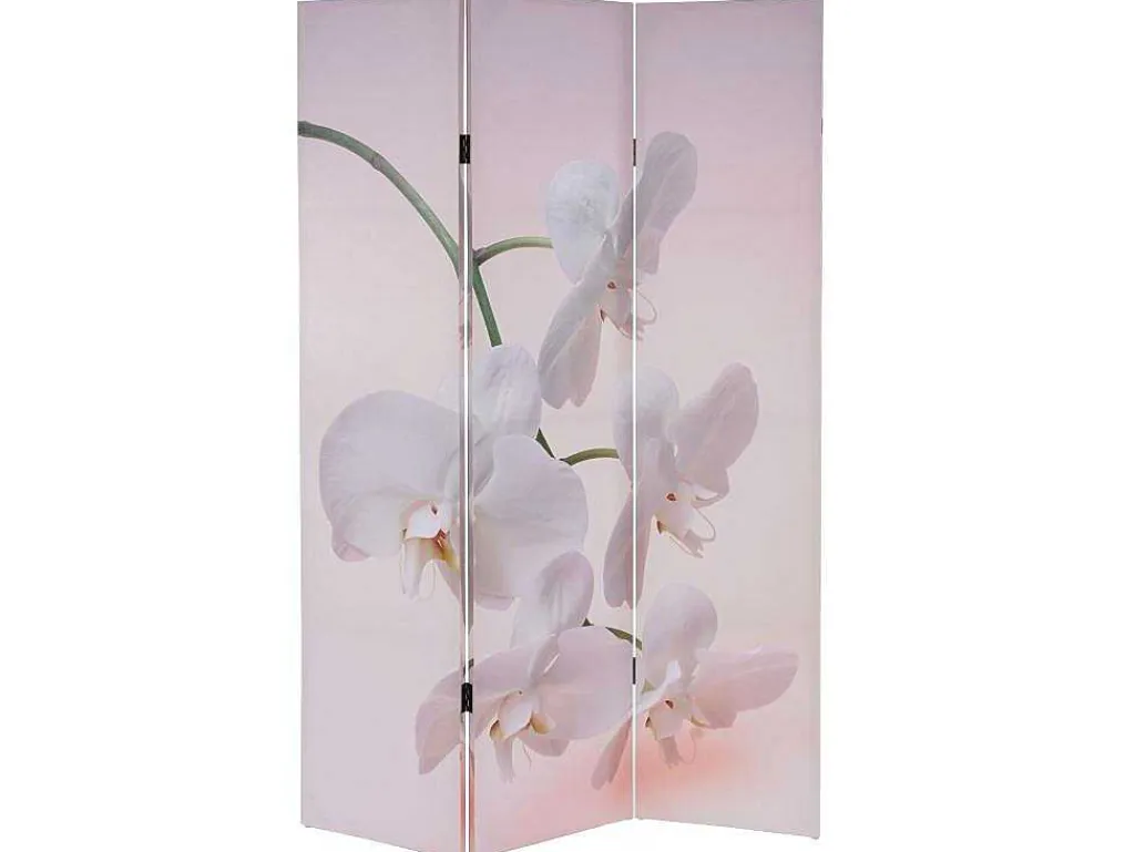 Foto Scherm Bagheria, Orchid-Vente-unique Online