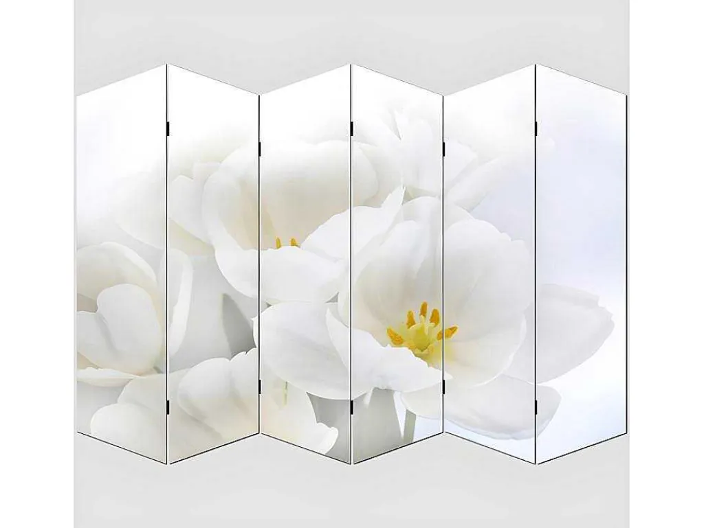 Foto Scherm Bagheria, 180X240Cm, Orchid-Vente-unique Online