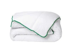 Gematigd Dekbed Met Natuurlijke Antimijtbehandeling Van Van Microvezel - 140 X 200 Cm - 300 G/M - Groene Bies - Azylia Ii-DREAMEA