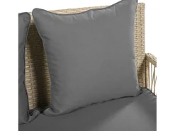 Hangstoel In Geweven Hars - Tuinschommel - 2 Plaatsen - Met Kussens - Beige & Grijs-ModernLuxe New