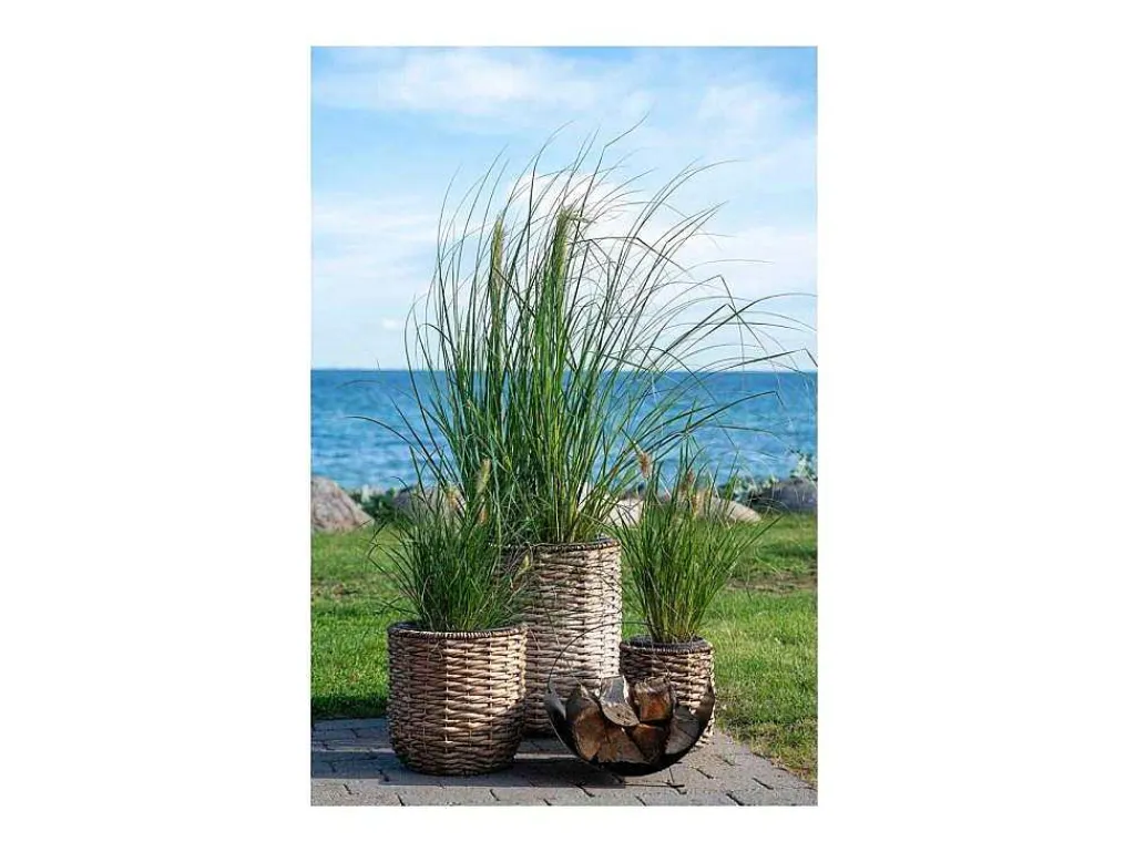 Hanoi Planten Schuilplaatsen Set Van 3 Stuks. Buitenshuis Naturel.-Vente-unique Best