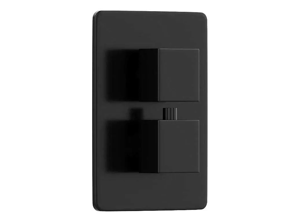 Inbouwdoucheset Met Thermostatische Mengkraan En Verstelbare Wandhouder - Mat Zwart - Terek-Shower & Design New