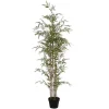 Kunstbamboe Met Natuurlijke Stam - H160 - Mucuri-OZAIA New