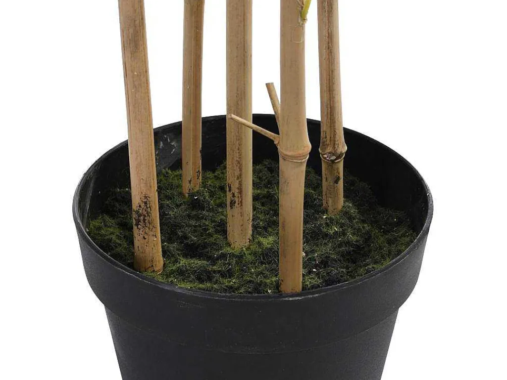 Kunstbamboe Met Natuurlijke Stam - H160 - Mucuri-OZAIA New
