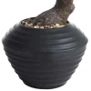 Kunstbonsaiboom - H53 - Asrame-OZAIA Discount