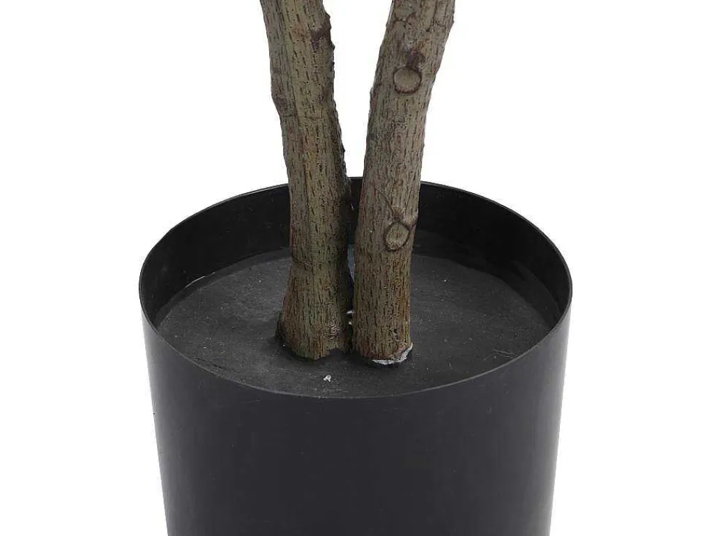 Kunstboom Calathea Met Pot - H150 - Lusake-OZAIA Clearance