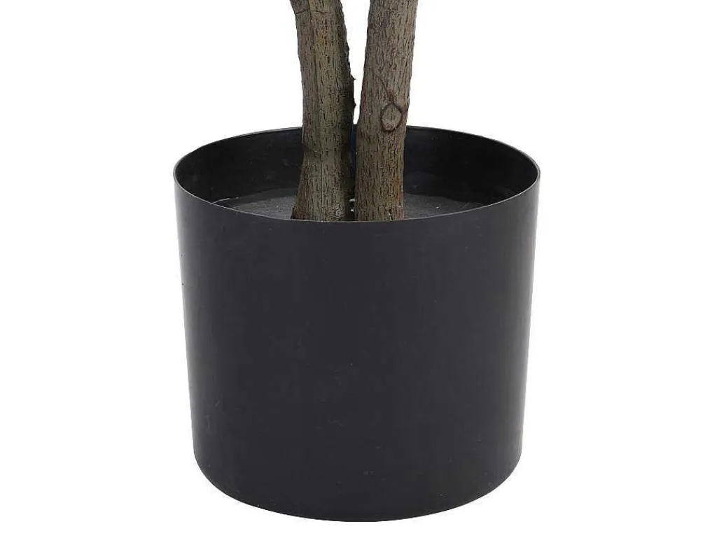 Kunstboom Calathea Met Pot - H150 - Lusake-OZAIA Clearance