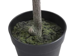 Kunstcitroenboom Met Pot - H120 - Berat-OZAIA Outlet