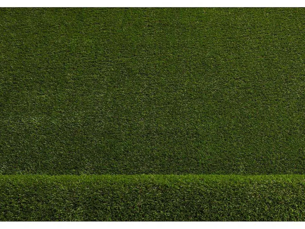 Kunstgras Forestland Select Maat 133X550 Cm-RugsX Discount