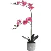 Kunstorchidee Met Pot Van Cement - H55 X B30 Cm - Roze - Riosane-OZAIA Hot