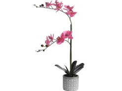 Kunstorchidee Met Pot Van Cement - H55 X B30 Cm - Roze - Riosane-OZAIA Hot