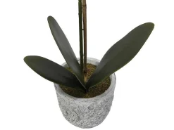 Kunstorchidee Met Pot Van Cement - H60 - Wit - Flora-OZAIA Online