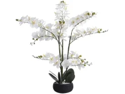 Kunstorchidee Met Pot Van Cement - H65 X B54 Cm - Wit - Tara-OZAIA Online