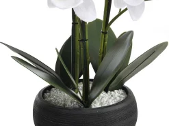 Kunstorchidee Met Pot Van Cement - H65 X B54 Cm - Wit - Tara-OZAIA Online