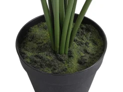 Kunstpalmboom Met Pot - H160 - Palmita-OZAIA Clearance