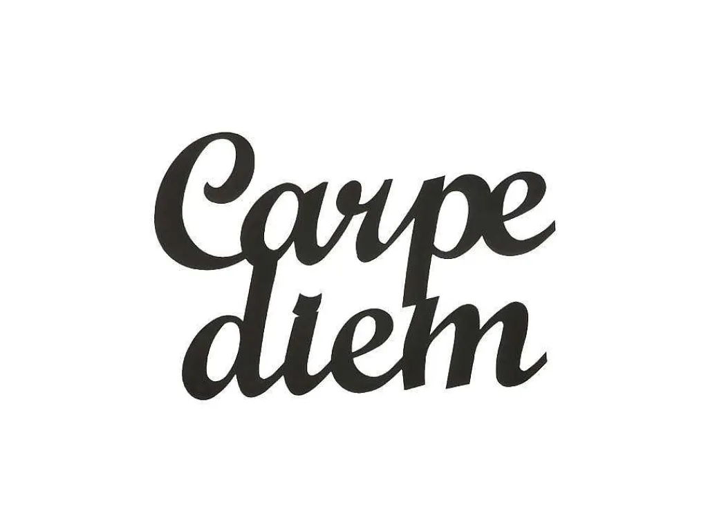 Metalen Decoratie Carpediem, Zwart, 50X1,5X38 Cm,-EPIKASA Best