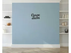 Metalen Decoratie Carpediem, Zwart, 50X1,5X38 Cm,-EPIKASA Best