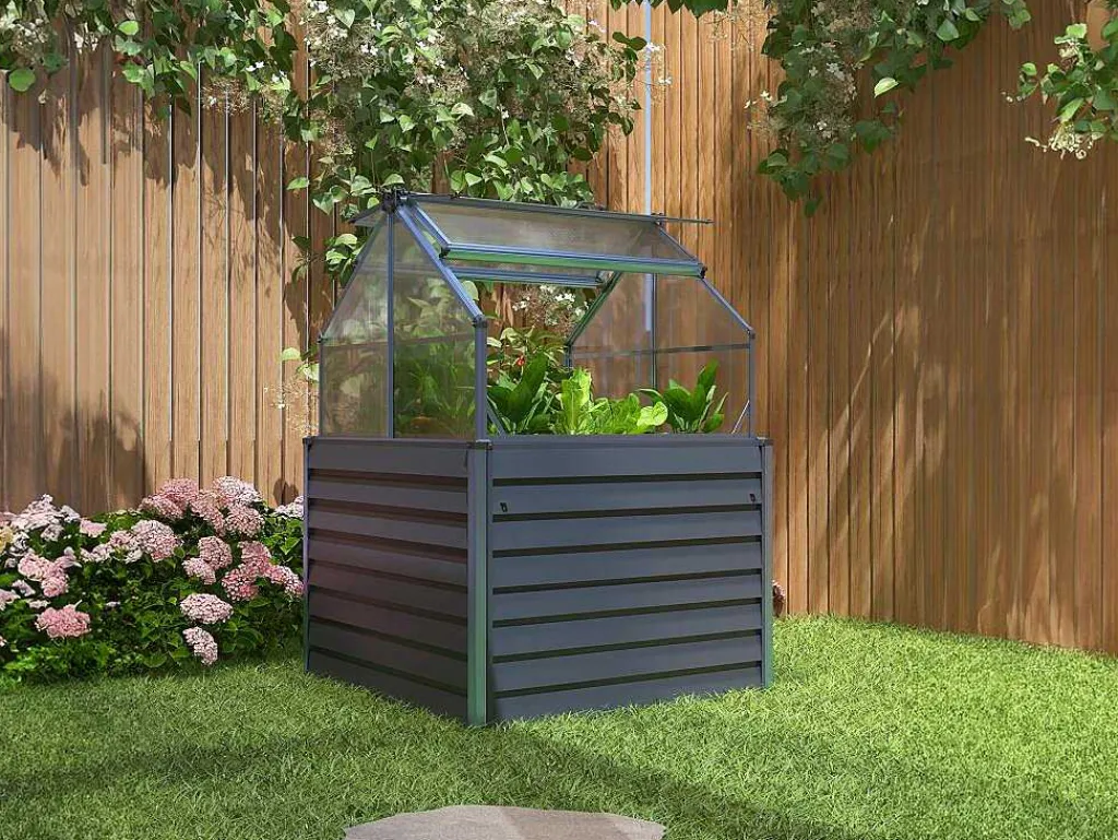 Mini-Tuinkas Van Polycarbonaat En Structuur Van Aluminium - L120 X B120 X H169 Cm - Antraciet - Genista-EXPERTLAND Hot