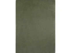 Modern Wastapijt Posh Shaggy, Pluche, Dik Anti-Slip Groen 160X220 Cm-RugsX Best