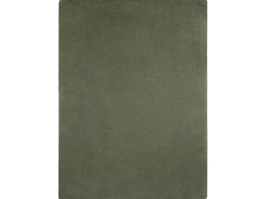 Modern Wastapijt Posh Shaggy, Pluche, Dik Anti-Slip Groen 160X220 Cm-RugsX Best