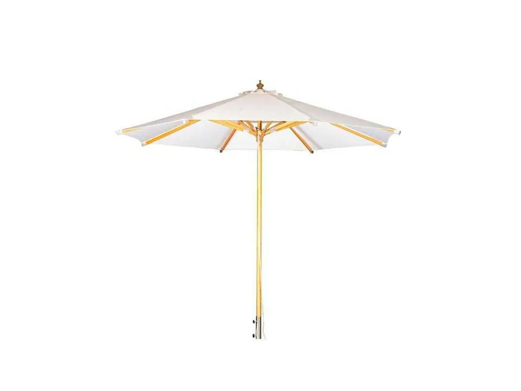 Naxos Parasol Wit, Natuur.-Vente-unique Sale