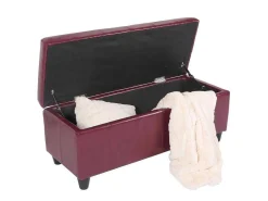 Opbergkist Kriens, Rood-Vente-unique Discount