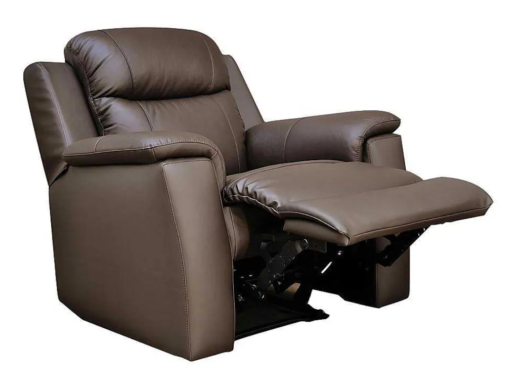 Relaxfauteuil Evasion Van Leer - Bruin-Vente-unique New