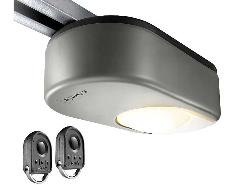 Sectionale Garagedeur Met Glad Effect Met Centrale Witte Loopdeur En Motor - Lavega-Somfy Discount