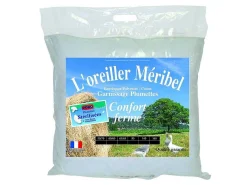Set Van 2 Stevige Natuurlijke Hoofdkussens Met Dons - 60 X 60 Cm - Meribel-DODO Online