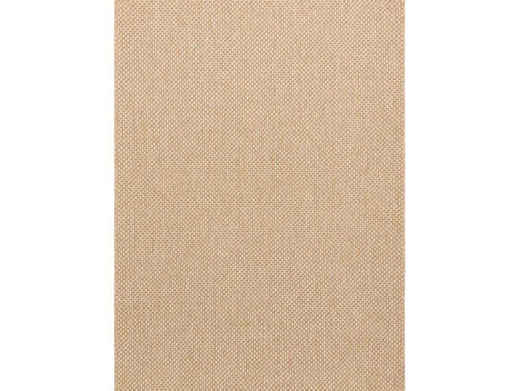Sisal Tapijt Timo 6272 Buitenshuis Donker Beige 240X330 Cm-RugsX Online