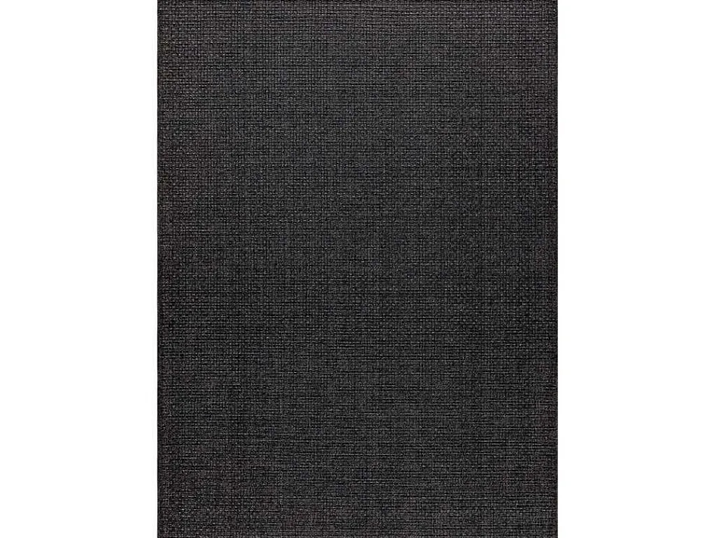 Sisal Tapijt Timo 0000 Buitenshuis Zwart 120X170 Cm-RugsX Sale