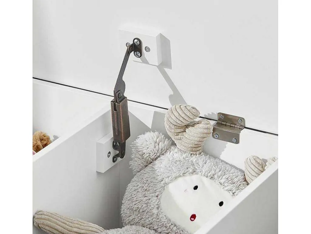 Kmb70-W Speelgoedkist Voor Kinderen, Speelgoed Opbergdoos, Opbergkist Met Scharnierend Deksel, Regenboogdesign, Kinderboekenplank-Sobuy Hot