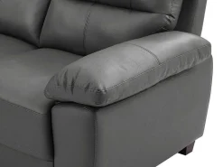Tweezitsbank Van Antracietgrijs Leer Tasani-Vente-unique Outlet