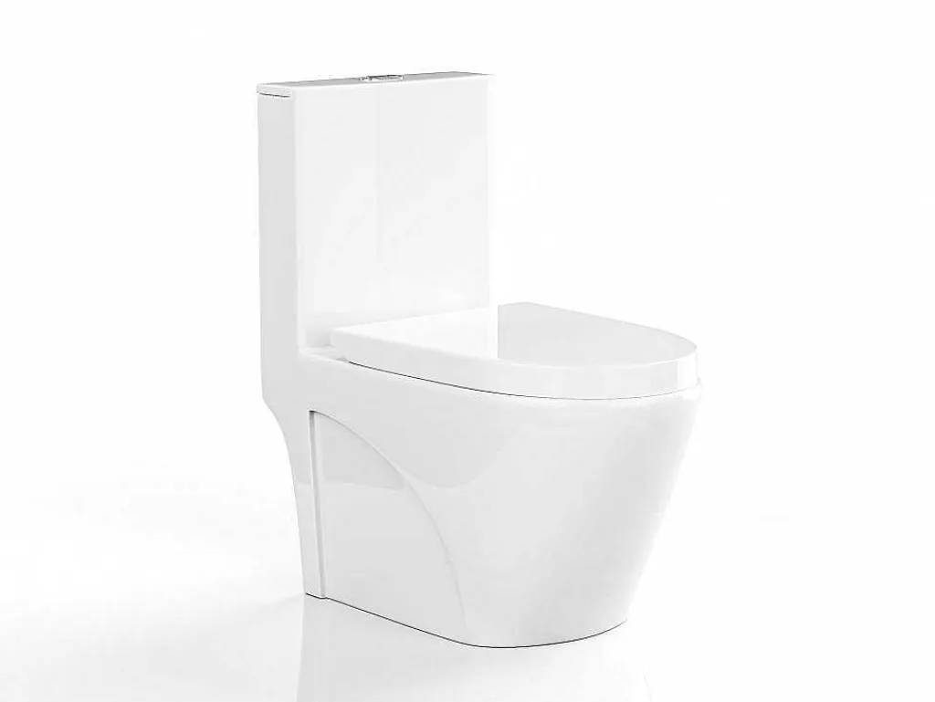Witte Wc Om Te Plaatsen Van Keramiek - Nagilam-Vente-unique Hot