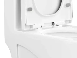 Witte Wc Om Te Plaatsen Van Keramiek - Nagilam-Vente-unique Hot