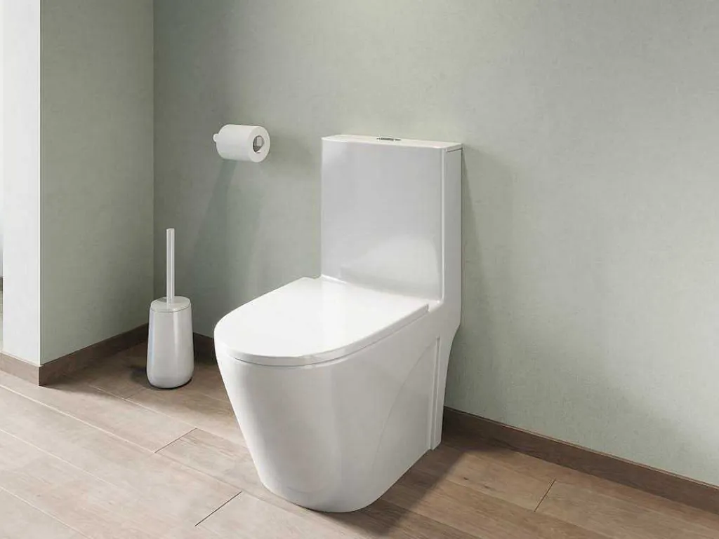 Witte Wc Om Te Plaatsen Van Keramiek - Nagilam-Vente-unique Hot