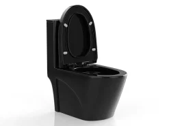 Zwarte Glanzende Wc Om Te Plaatsen Van Keramiek - Nagilam-Vente-unique