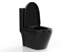 Zwarte Glanzende Wc Om Te Plaatsen Van Keramiek - Nagilam-Vente-unique