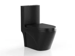 Zwarte Matte Wc Om Te Plaatsen Van Keramiek - Nagilam-Vente-unique Clearance
